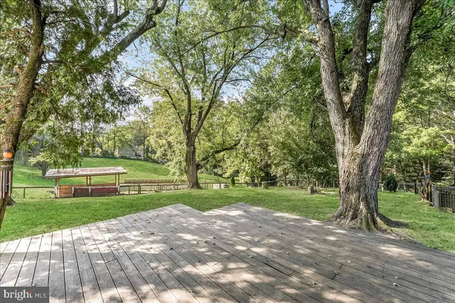 a view of a park with large trees