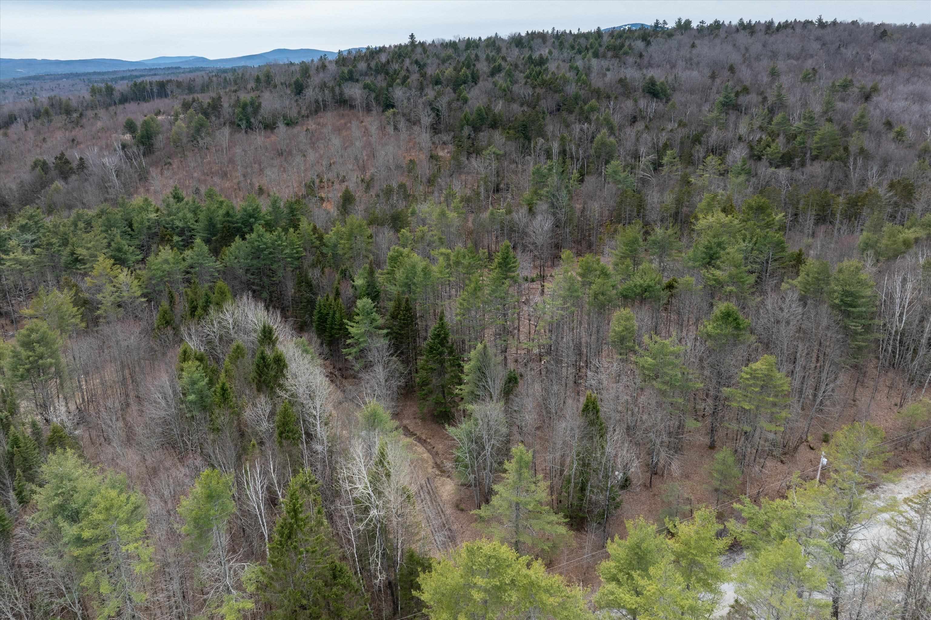 Dix Hill Road, Unit 6 Ludlow, VT 05149 - Photo 11 of 17 Gallery Image 11