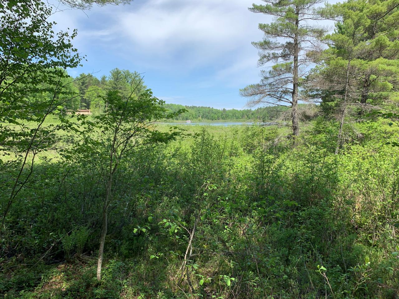 Lot 1 Somo Ridge Road Tomahawk, WI 54487 - Photo 9 of 12 Gallery Image 9