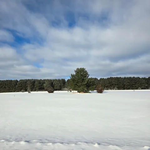 $49,900 | 3 Gregory, Hillman, MN 56338