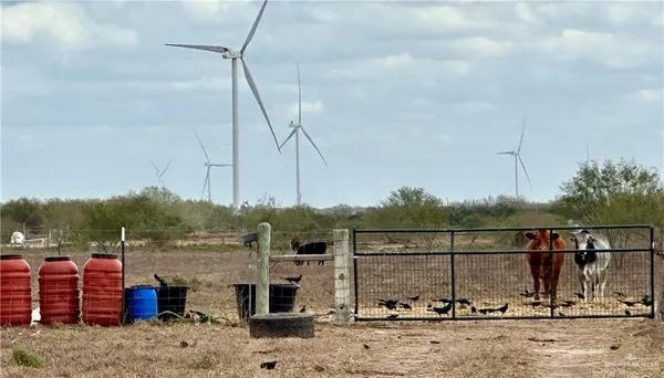 a view of a lake next to a road
