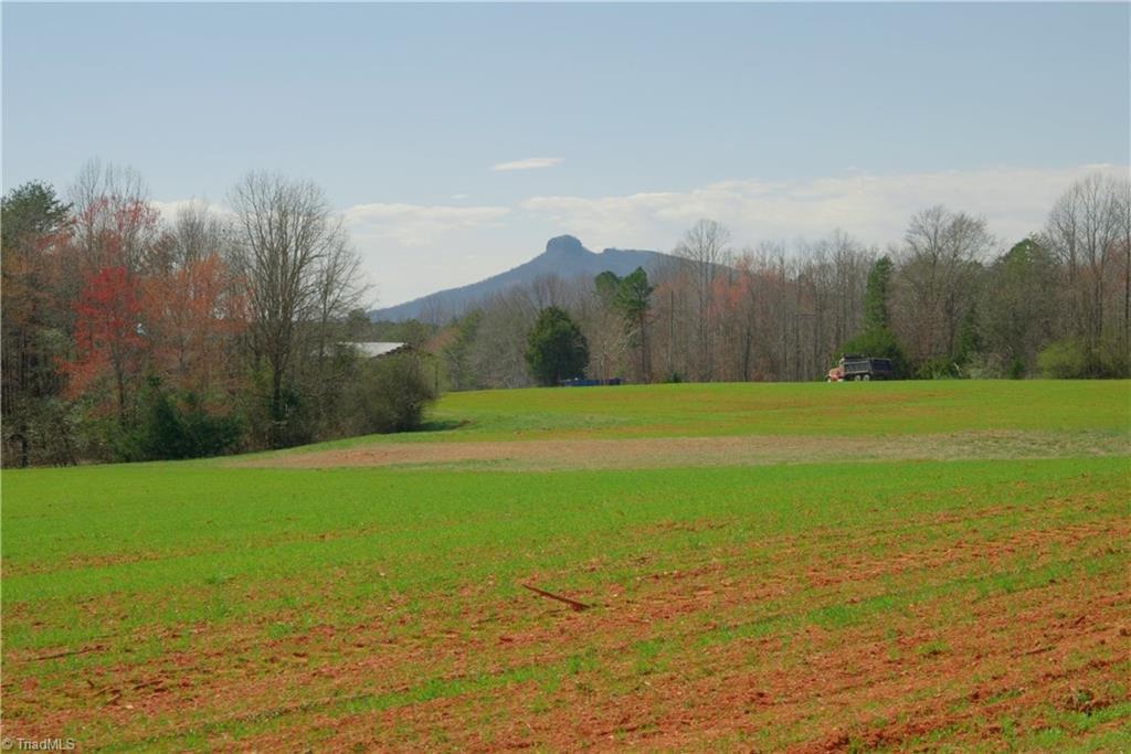 3-4 Old Mill Road Pinnacle, NC 27043 - Photo 6 of 24