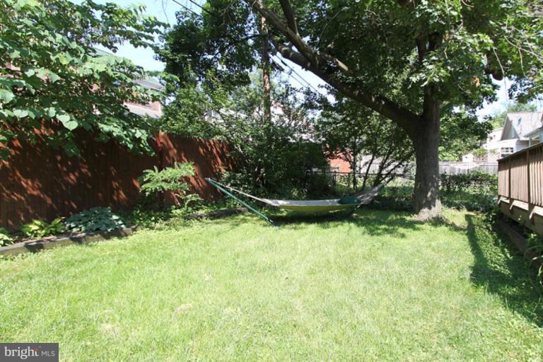 810 Violet Place Silver Spring, MD 20910 - Photo 3 of 22 Back yard