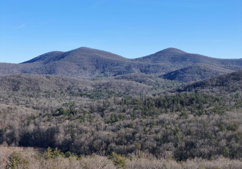 731 Native Trail Cherry Log, GA 30522 - Photo 2 of 56 a view of mountains and valleys