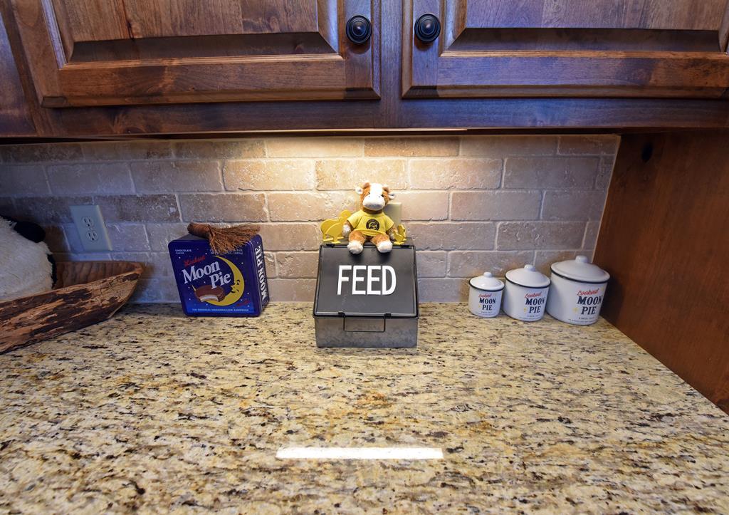 731 Native Trail Cherry Log, GA 30522 - Photo 27 of 56