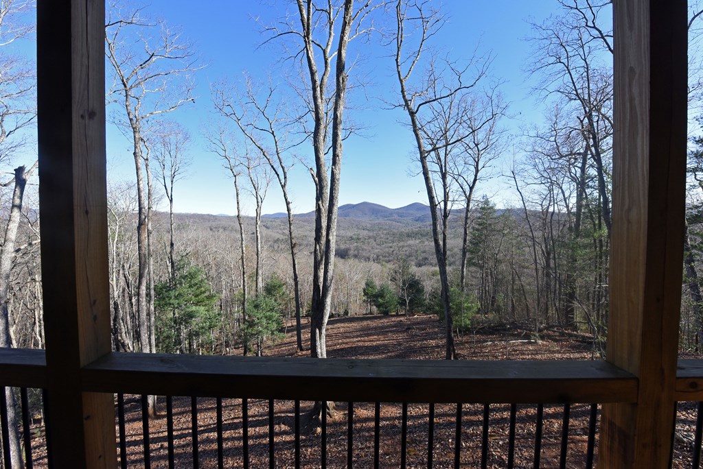 731 Native Trail Cherry Log, GA 30522 - Photo 5 of 56 a view of a forest from a window