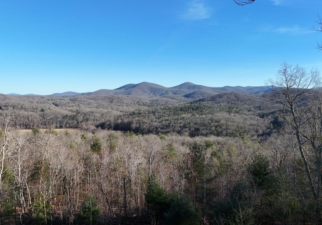 731 Native Trail Cherry Log, GA 30522 - Photo 7 of 56 a view of a forest with mountains in the background