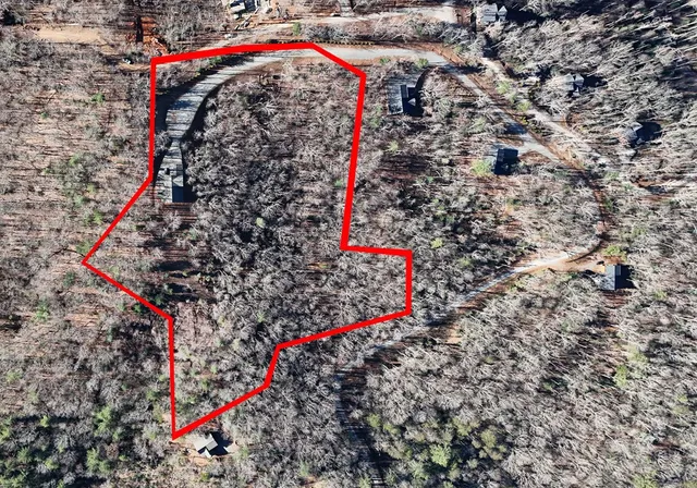 $1,949,000 | 731 Native Trail, Cherry Log, GA 30522