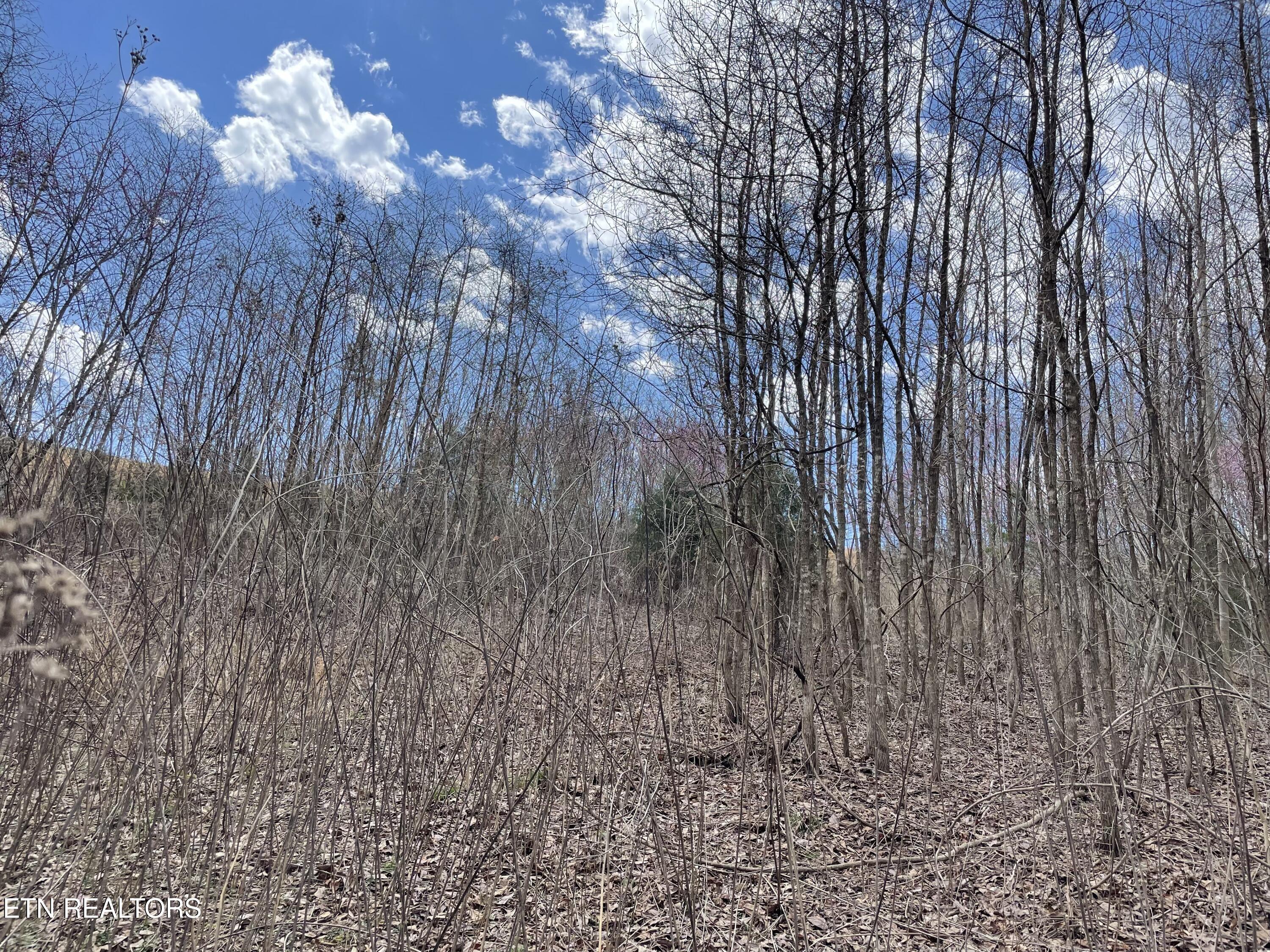 Lot 27 Panoramic Maynardville, TN 37807 - Photo 12 of 14 IMG_5525