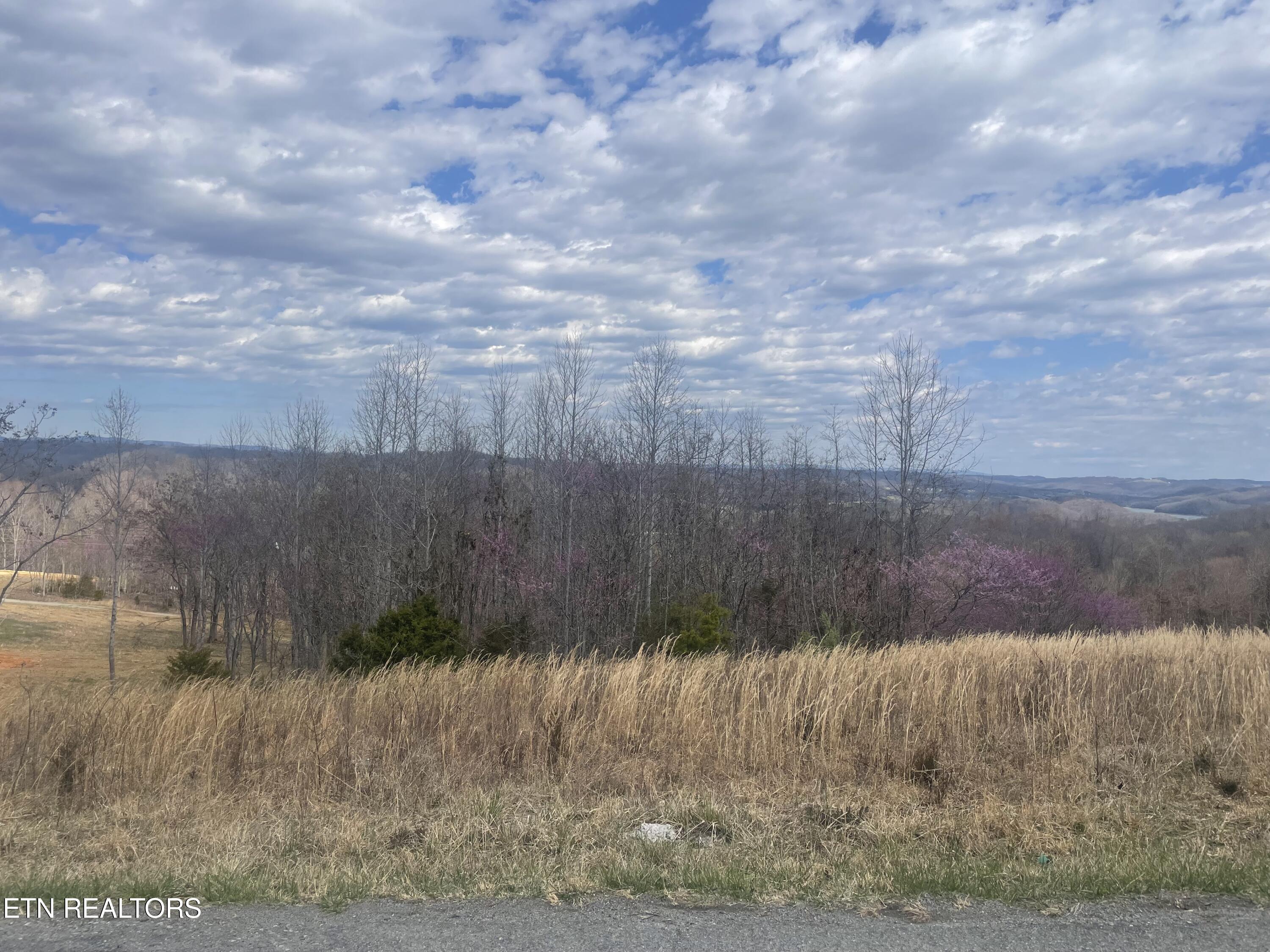 Lot 27 Panoramic Maynardville, TN 37807 - Photo 14 of 14 IMG_5518
