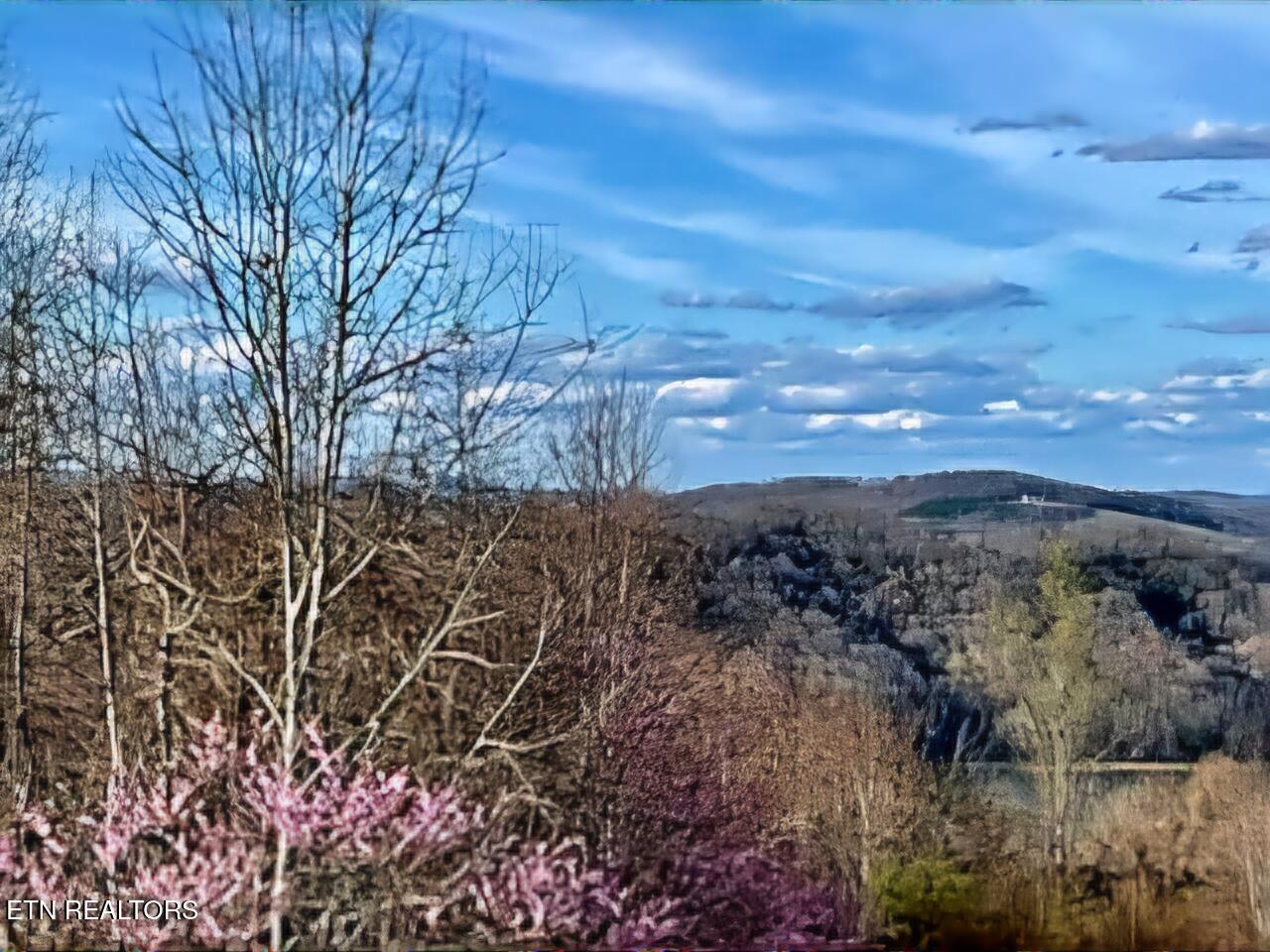 Lot 27 Panoramic Maynardville, TN 37807 - Photo 2 of 14 1000016964