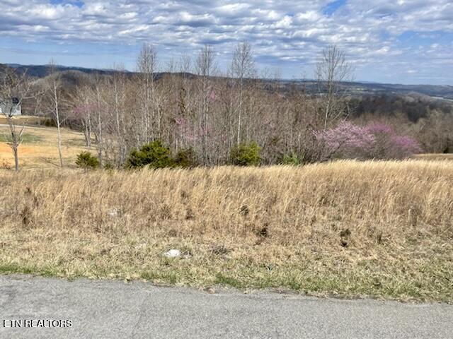 Lot 27 Panoramic Maynardville, TN 37807 - Photo 3 of 14 IMG_2990