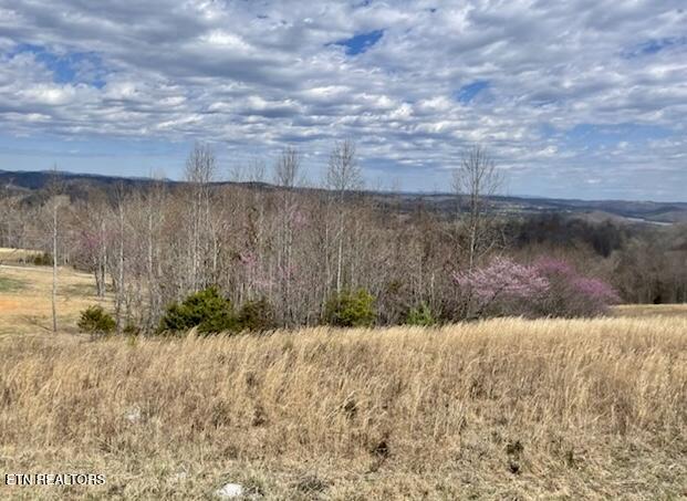 Lot 27 Panoramic Maynardville, TN 37807 - Photo 4 of 14 IMG_2989