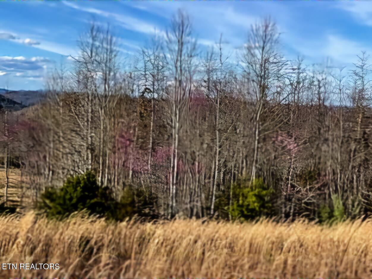 Lot 27 Panoramic Maynardville, TN 37807 - Photo 5 of 14 1000016966