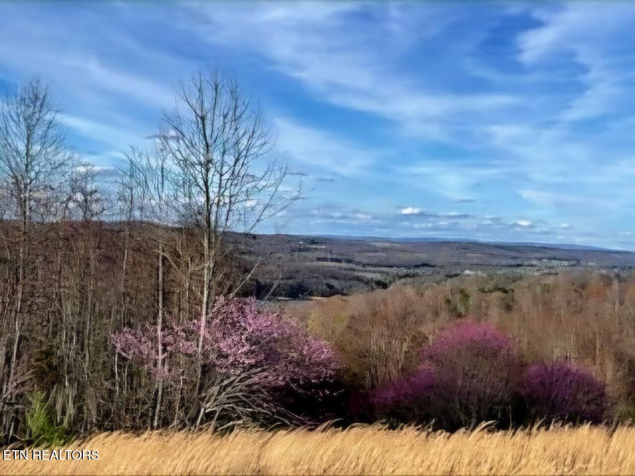 Lot 27 Panoramic Maynardville, TN 37807 - Photo 7 of 14 1000016969