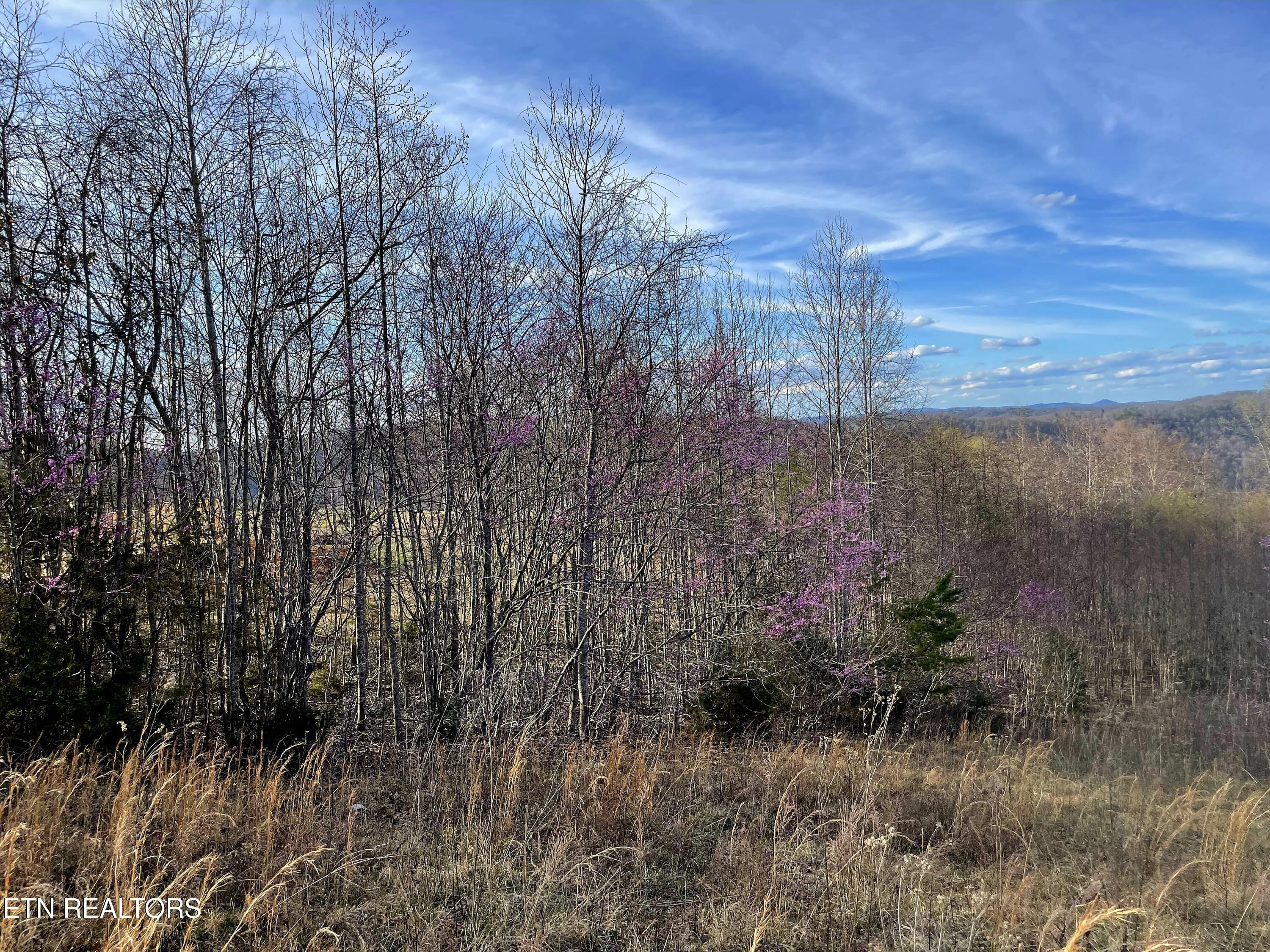 Lot 27 Panoramic Maynardville, TN 37807 - Photo 8 of 14 1000016960