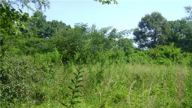 7106 New Hope Road Fairview, TN 37062 - Photo 14 of 19