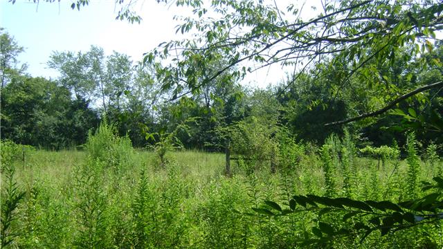 7106 New Hope Road Fairview, TN 37062 - Photo 15 of 19
