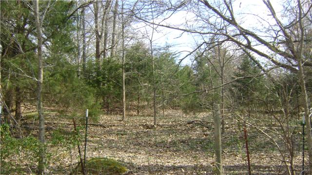 7106 New Hope Road Fairview, TN 37062 - Photo 19 of 19