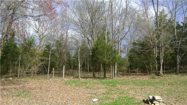 7106 New Hope Road Fairview, TN 37062 - Photo 6 of 19