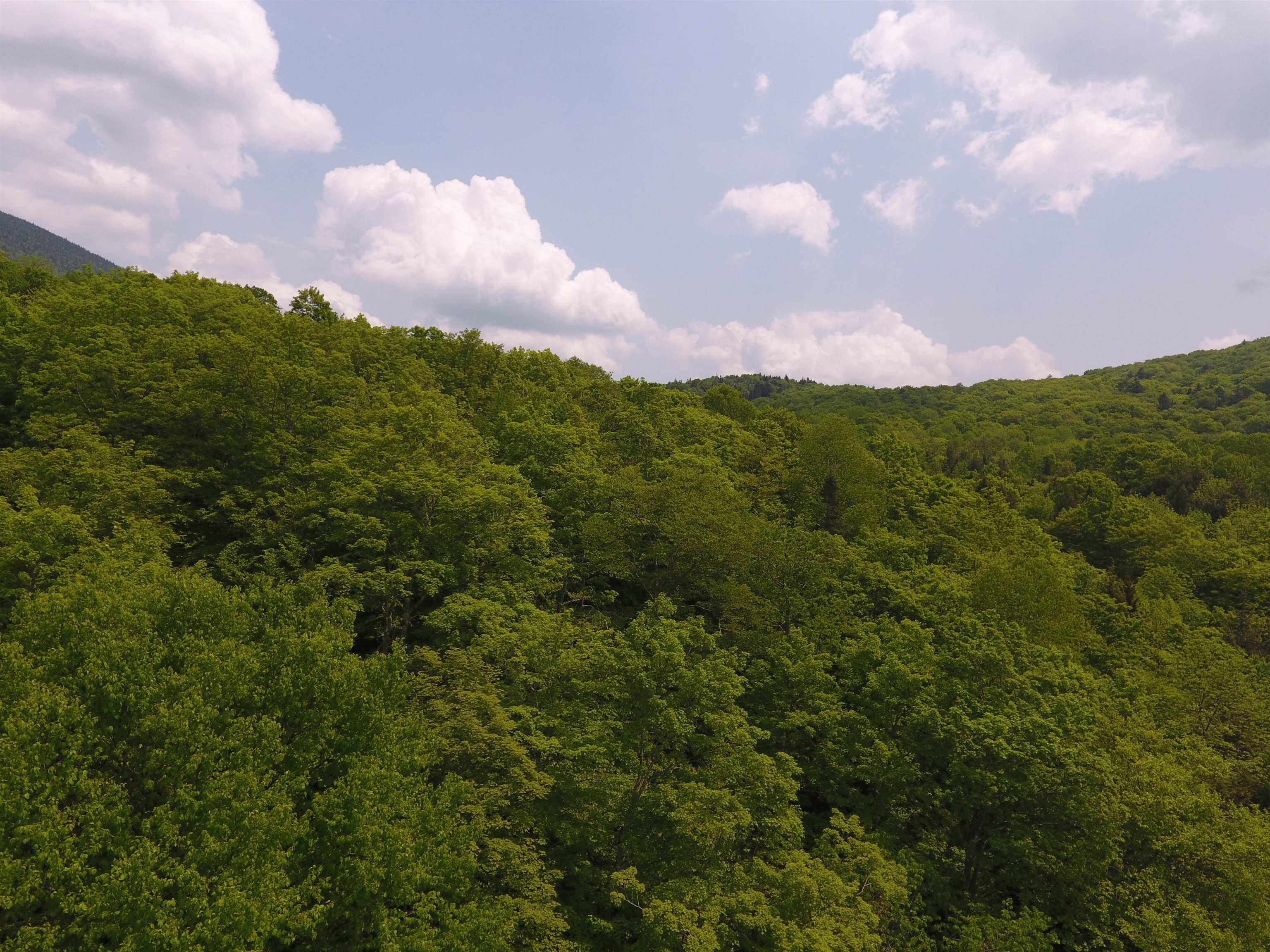 Bennett Road East Burke, VT 05832 - Photo 1 of 18