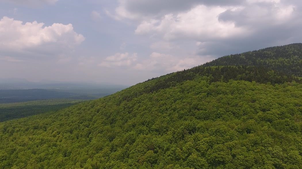 Bennett Road East Burke, VT 05832 - Photo 11 of 18