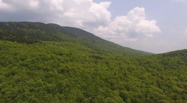 $1,150,000 | Bennett Road, East Burke, VT 05832