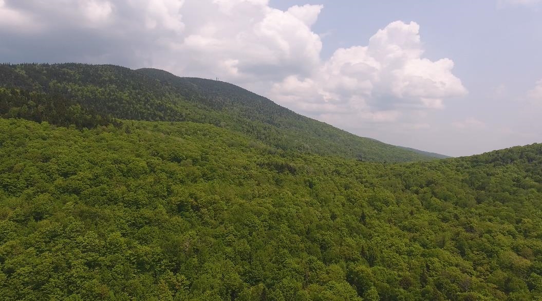 Bennett Road East Burke, VT 05832 - Photo 12 of 18