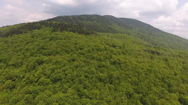 $1,150,000 | Bennett Road, East Burke, VT 05832