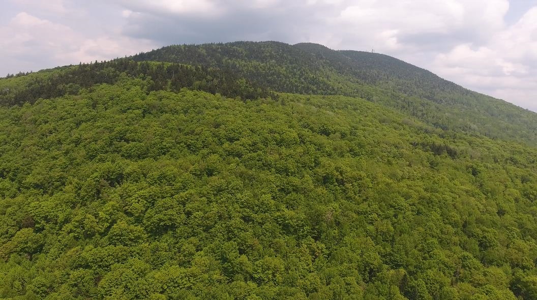Bennett Road East Burke, VT 05832 - Photo 13 of 18