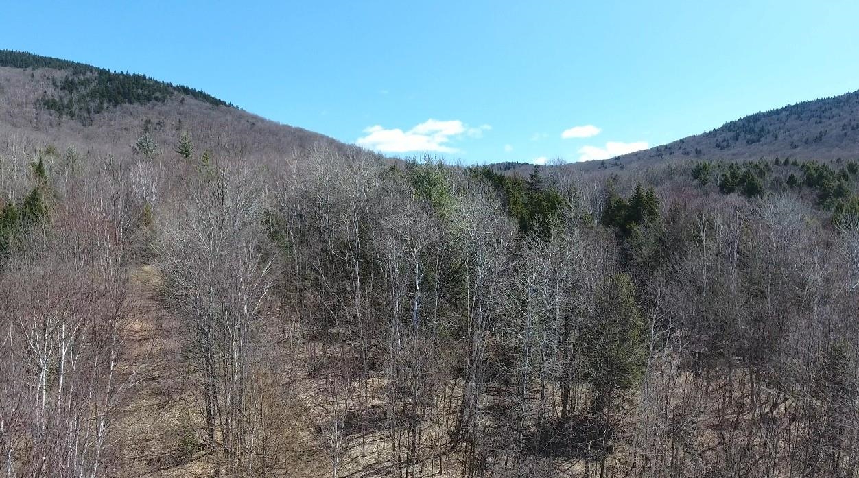 Bennett Road East Burke, VT 05832 - Photo 18 of 18