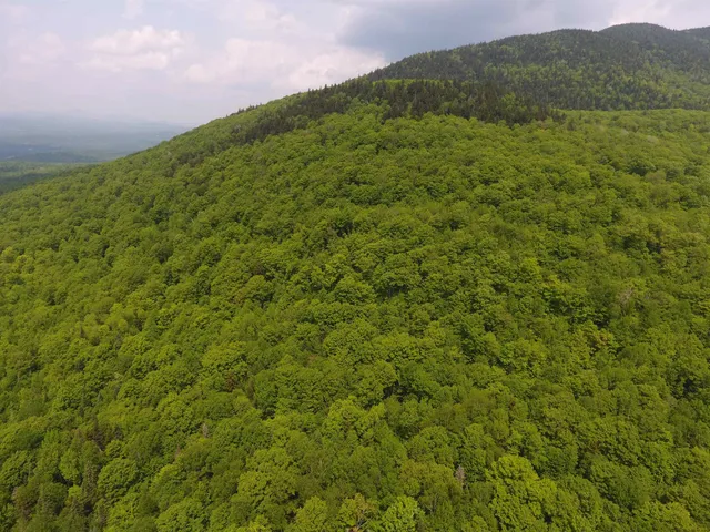 $1,150,000 | Bennett Road, East Burke, VT 05832