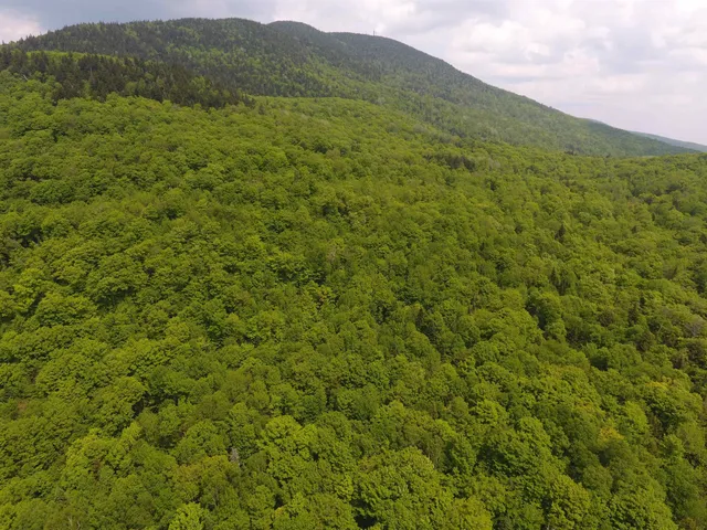 $1,150,000 | Bennett Road, East Burke, VT 05832