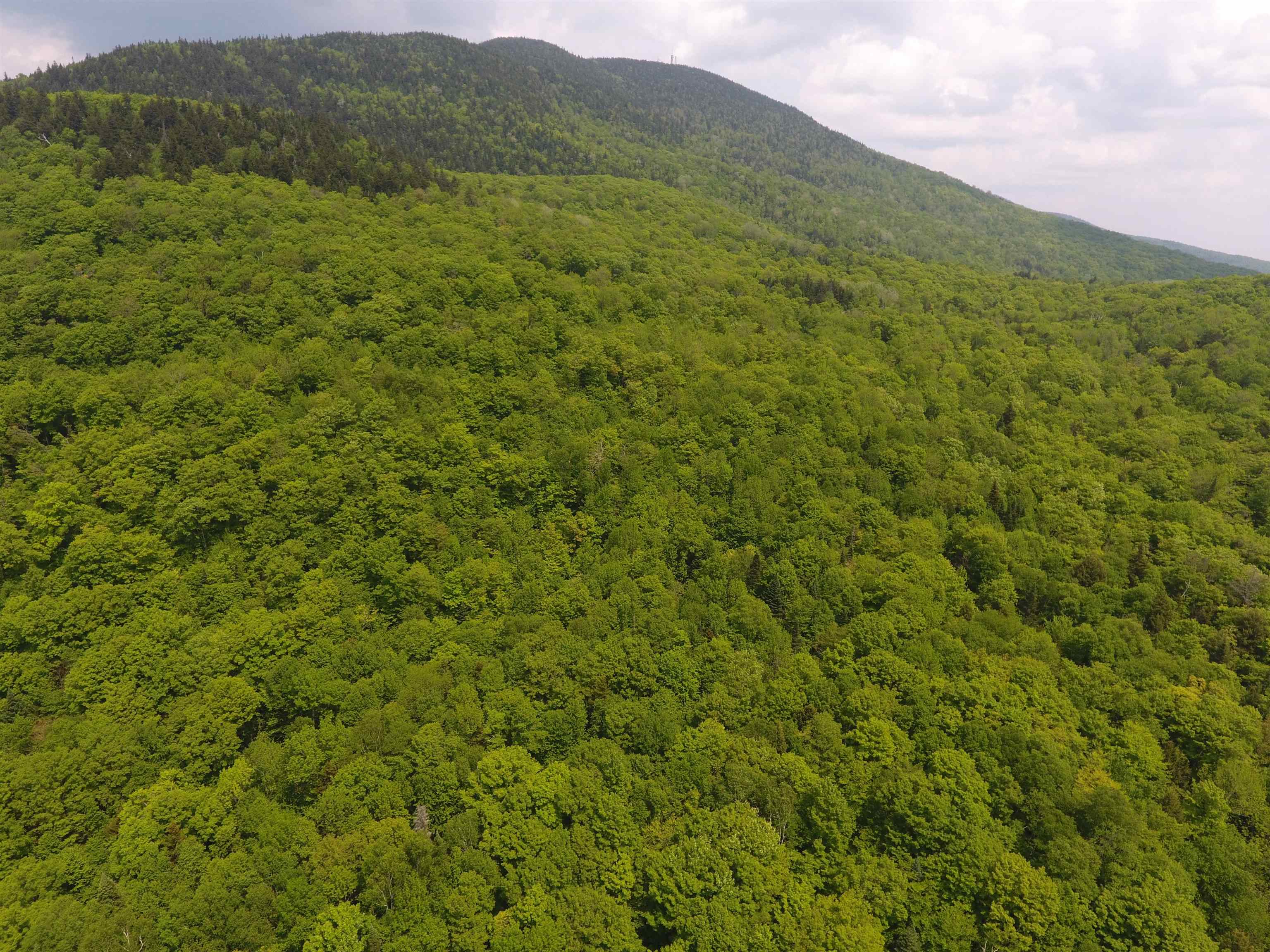 Bennett Road East Burke, VT 05832 - Photo 7 of 18