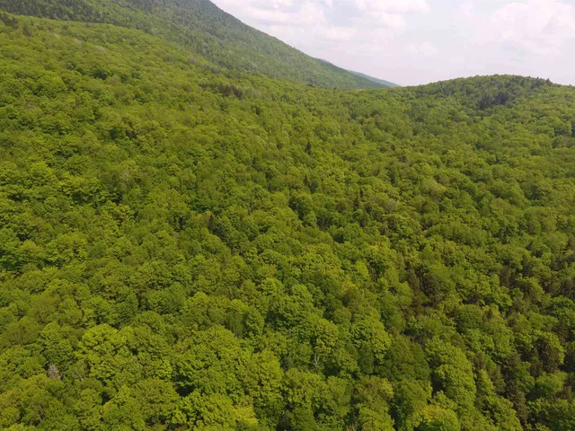 $1,150,000 | Bennett Road, East Burke, VT 05832