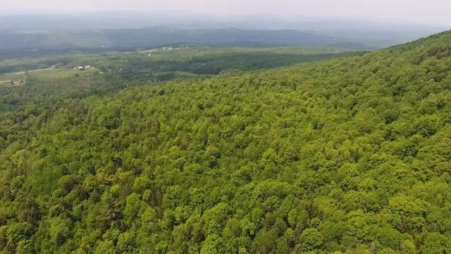 $1,150,000 | Bennett Road, East Burke, VT 05832