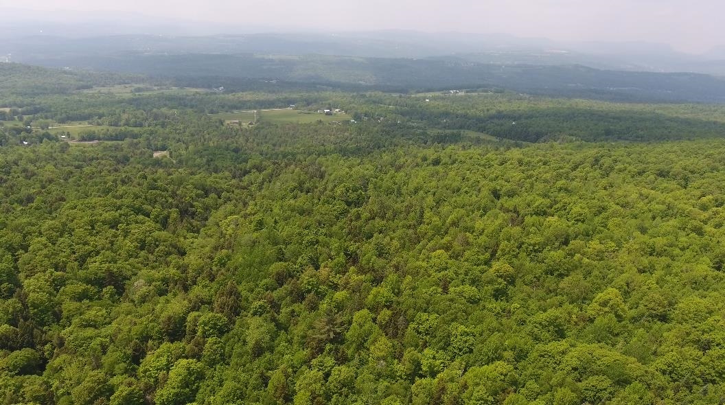 Bennett Road East Burke, VT 05832 - Photo 10 of 18