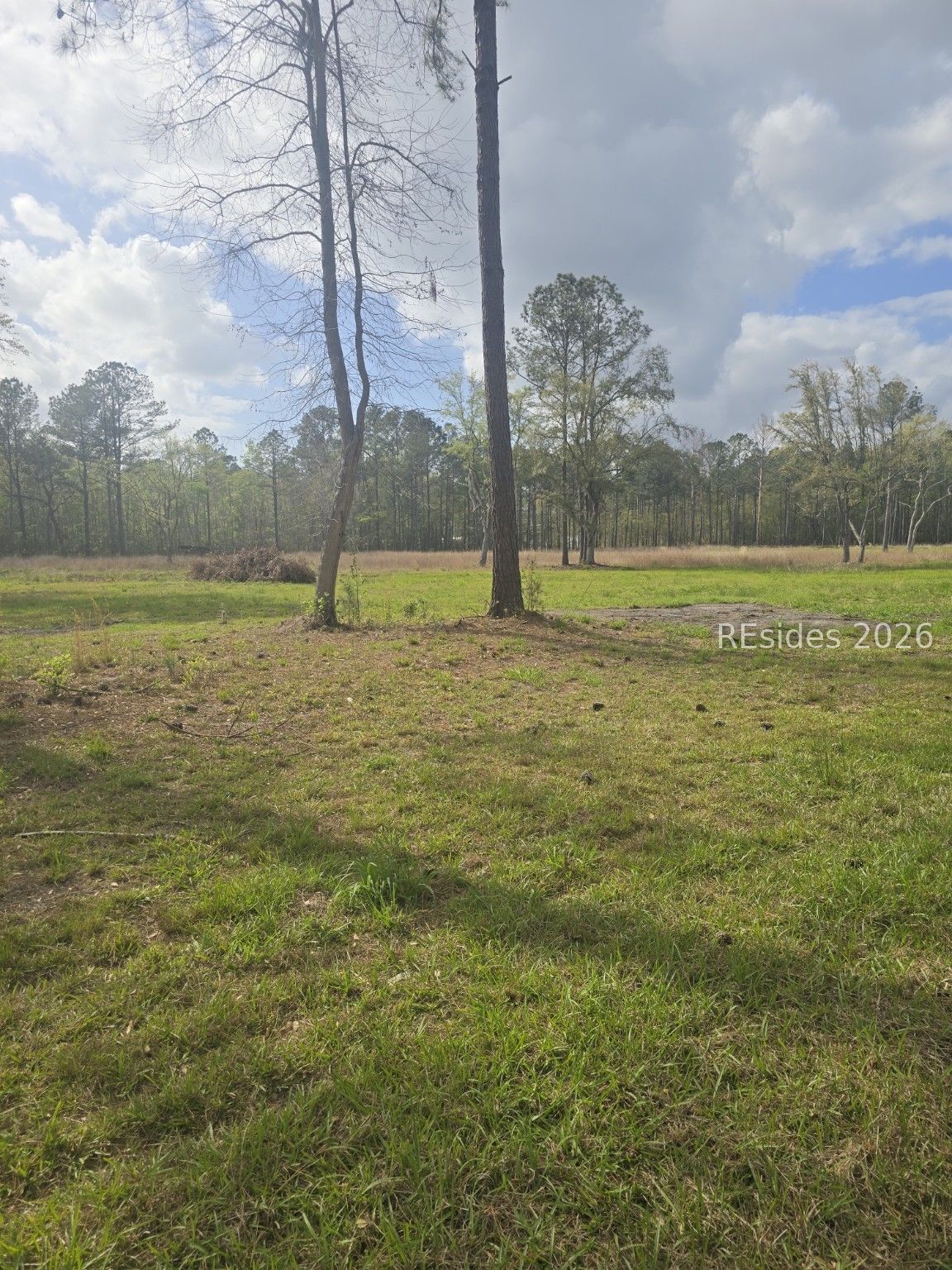 L4-lot B Roseland Road Ridgeland, SC 29936 - Photo 4 of 6