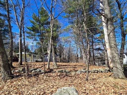 212 Chestnut Street Andover, MA 01810 - Photo 5 of 31 a backyard of a house with lots of green space