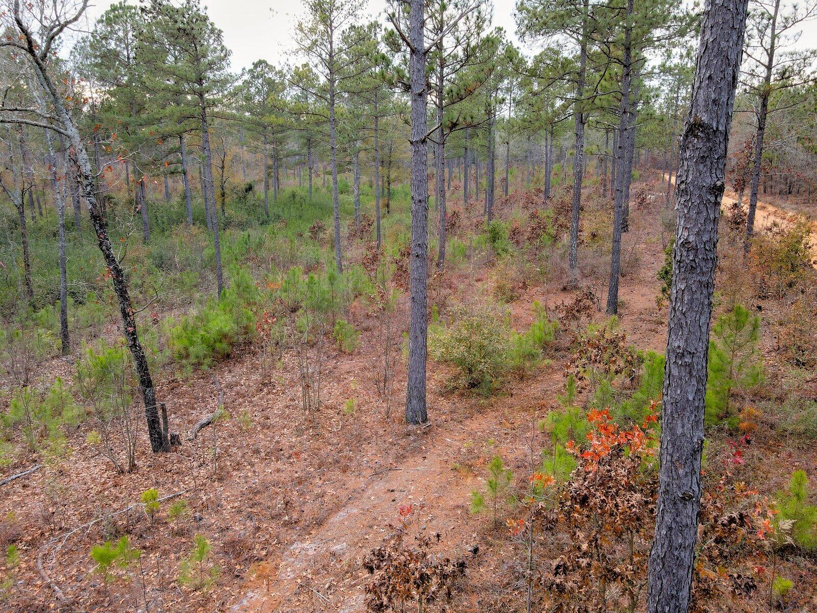 0 Deer Run Road, Unit F1 Williston, SC 29853 - Photo 4 of 14 Gallery Image 4