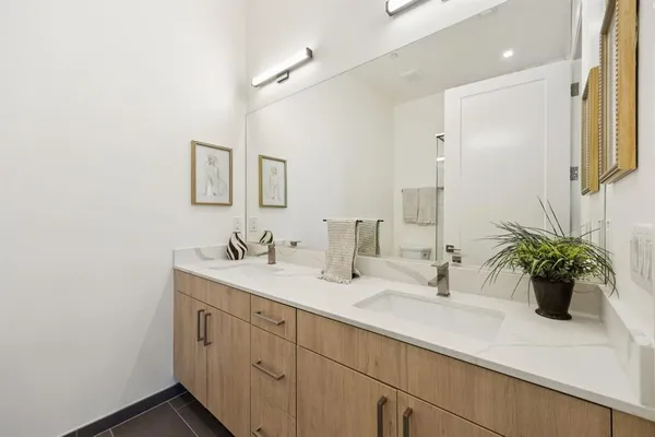 a bathroom with a sink a potted plant and a mirror