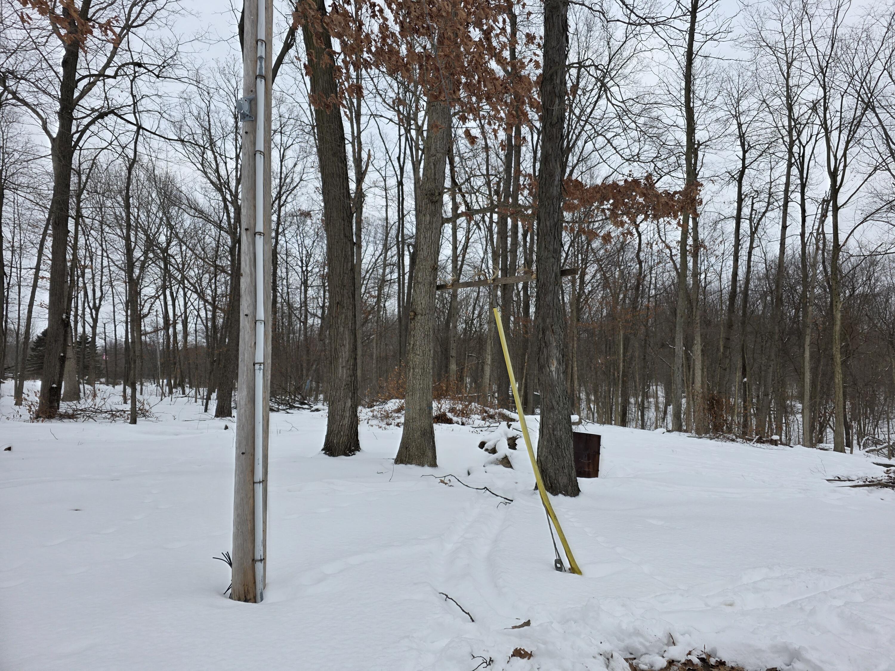 28660 East Baseline Highway Springport, MI 49284 - Photo 4 of 32 20260203_164617