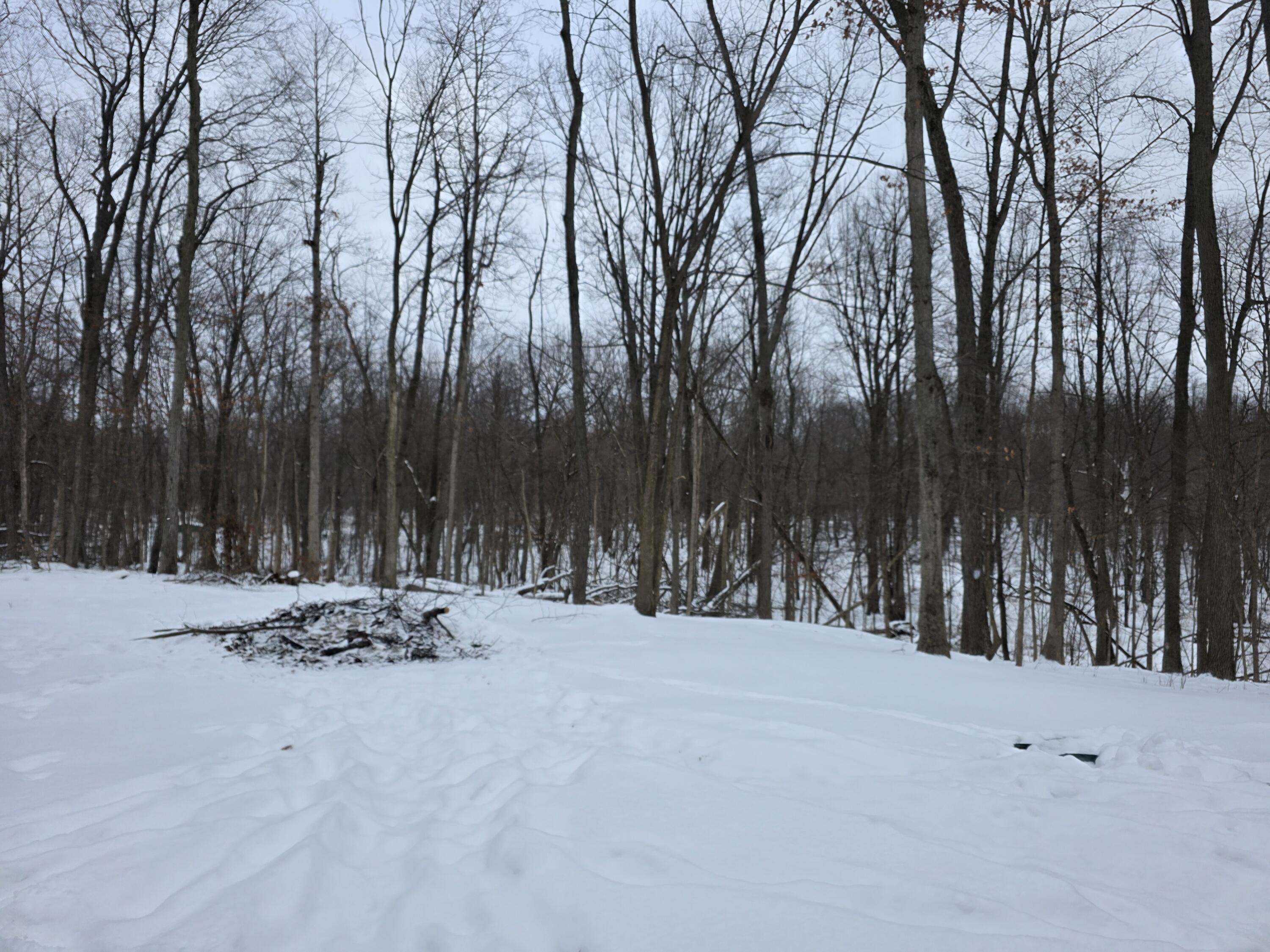 28660 East Baseline Highway Springport, MI 49284 - Photo 5 of 32 20260203_164657