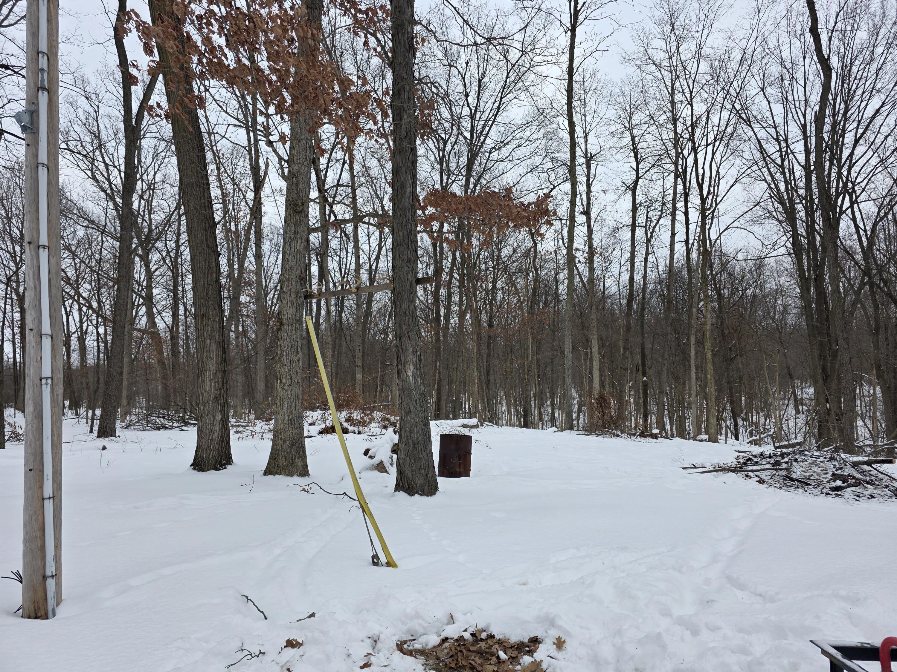 28660 East Baseline Highway Springport, MI 49284 - Photo 8 of 32 20260203_164612