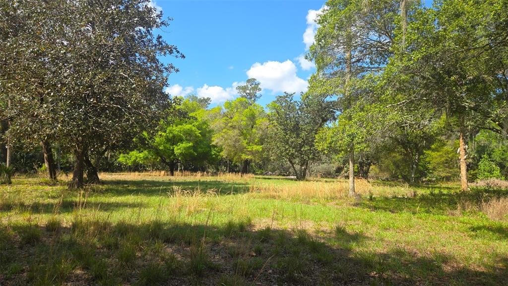 2140 St Johns River Road Astor, FL 32102 - Photo 1 of 13 a view of a lake view