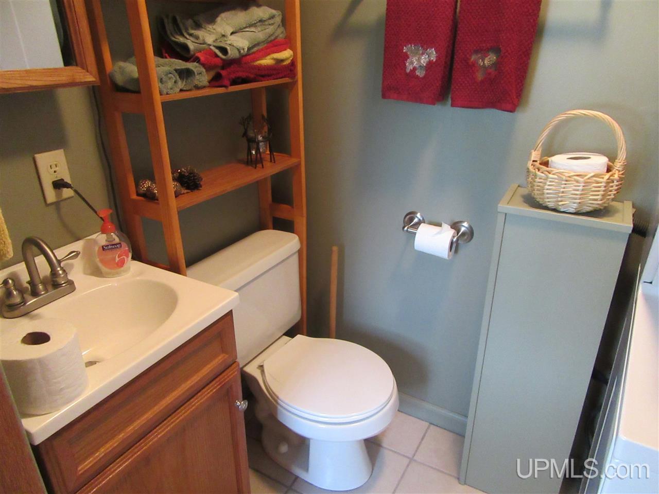 914 North Co Road Manistique, MI 49854 - Photo 18 of 20