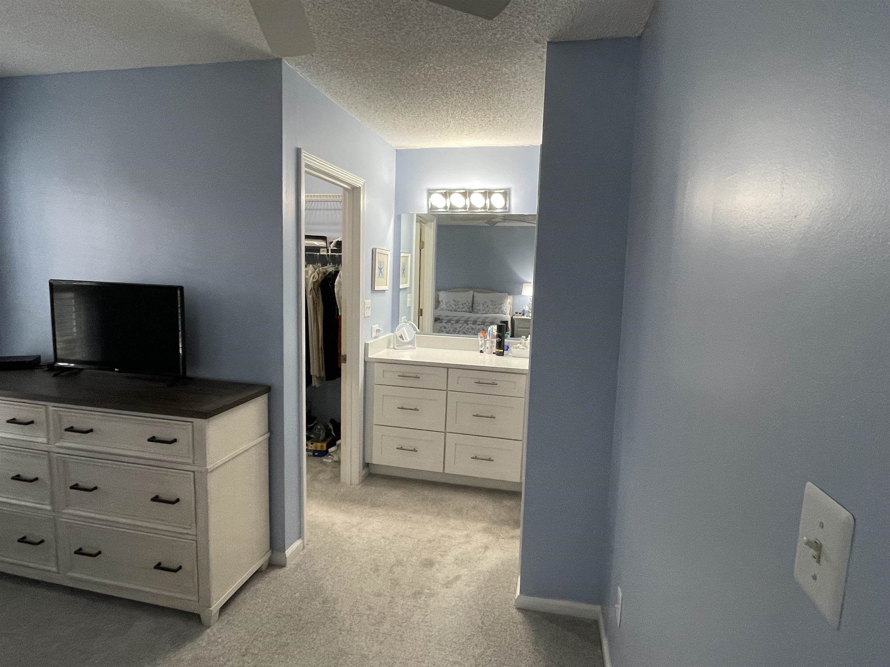 505 Night Heron Court Murrells Inlet, SC 29576 - Photo 17 of 27 Bathroom with a textured ceiling, ensuite bathroom, light carpet, a spacious closet, and vanity