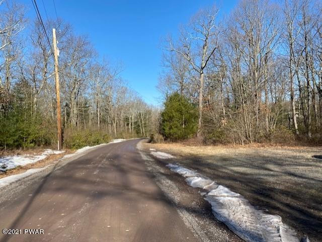 Lot #2 Fox Rdg Pk Drive Hawley, PA 18428 - Photo 4 of 4