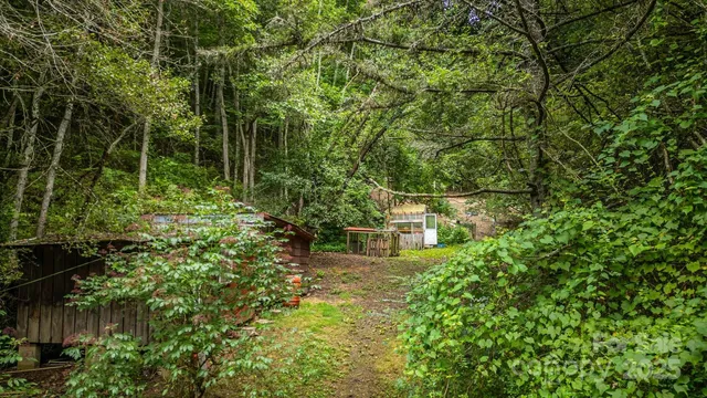 a backyard of a house with lots of green space and fountain