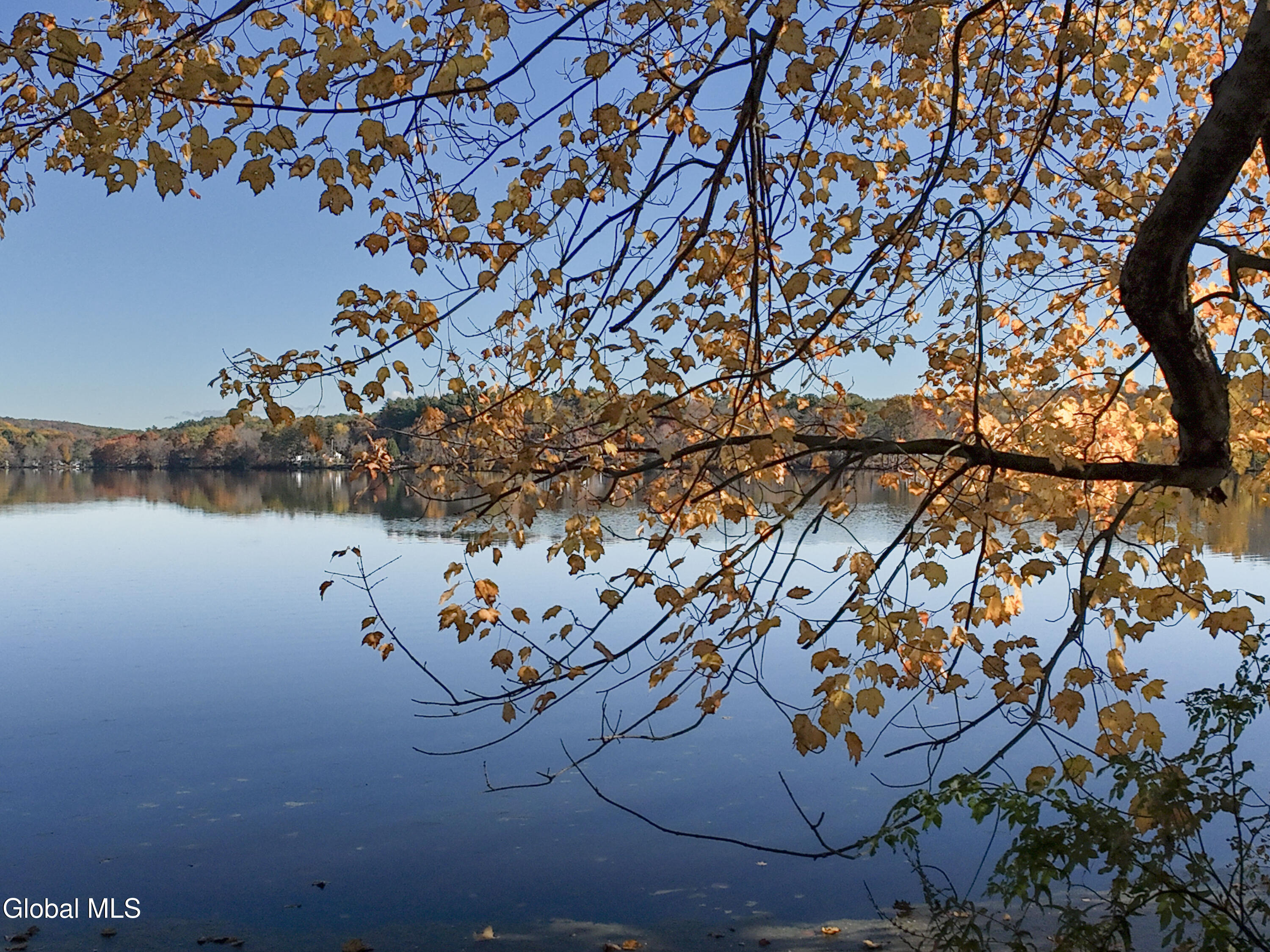 22 Crailo Lane Schodack, NY 12123 - Photo 9 of 37 RDP 25-1026 22 Crailo Ln - Morgan (11)